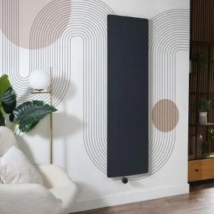 Zwarte Verticale Radiatoren